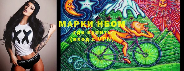 ECSTASY Бородино