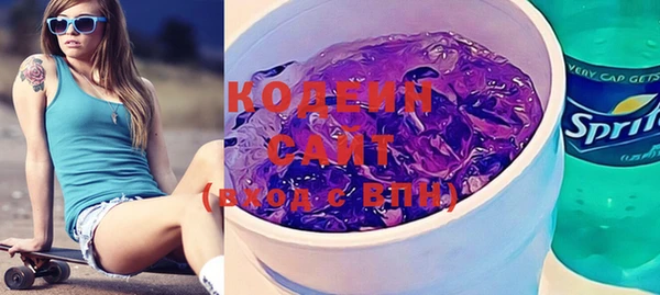ECSTASY Бородино