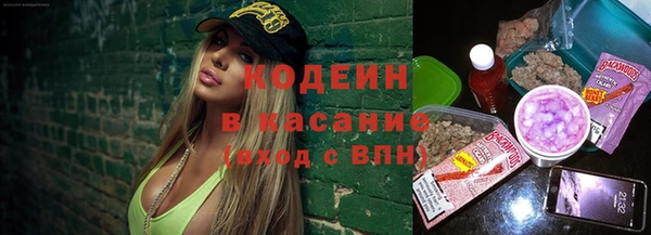 ECSTASY Бородино