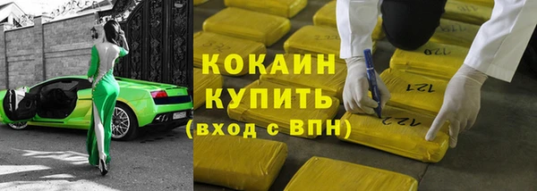 ECSTASY Бородино